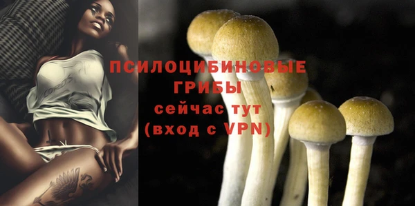 мяу мяу мука Абдулино