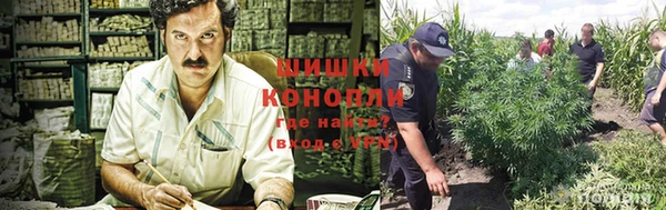 мяу мяу мука Абдулино