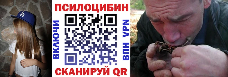 Псилоцибиновые грибы мицелий  Кизляр 