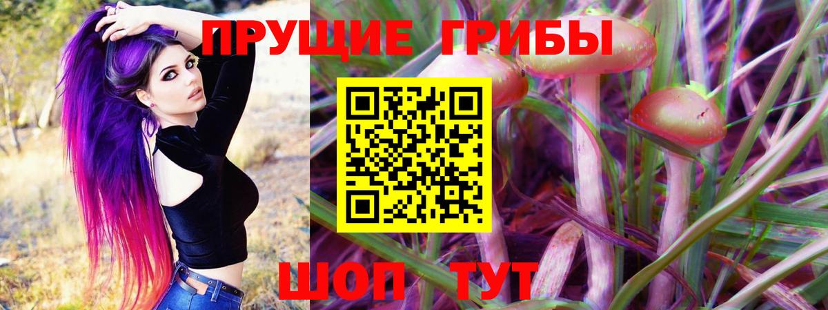 Кизляр  Галлюциногенные грибы прущие грибы  Вход с VPN 